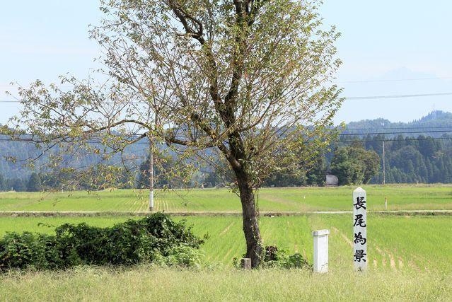 病死か戦死か暗殺か 謎多き武将 長尾為景の死因とは ニコニコニュース