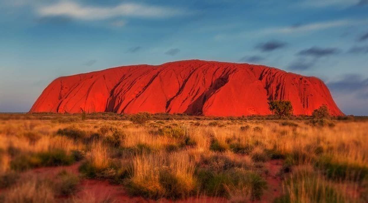 オーストラリアの砂漠の巨岩 ウルル で新種の植物が発見される ニコニコニュース