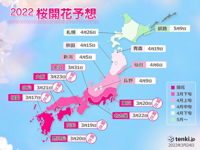 2022年桜開花予想(第7回) 東京は27日満開 週末から関東北部も開花ラッシュ | ニコニコニュース