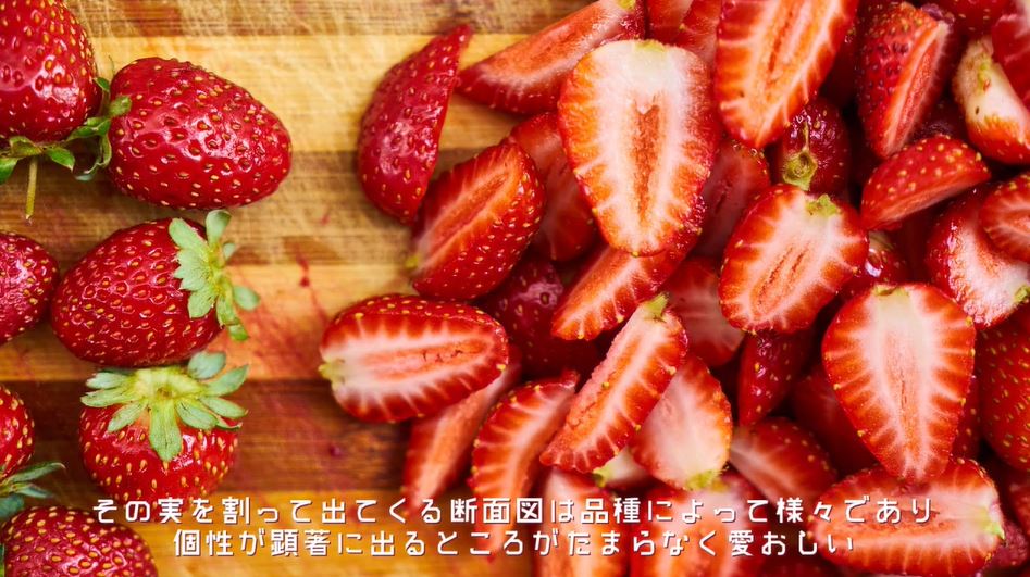 旬のイチゴ 17種 を食べ比べ 美しい断面も見せる詳細な食レポに 参考になる 可愛い の声 ニコニコニュース
