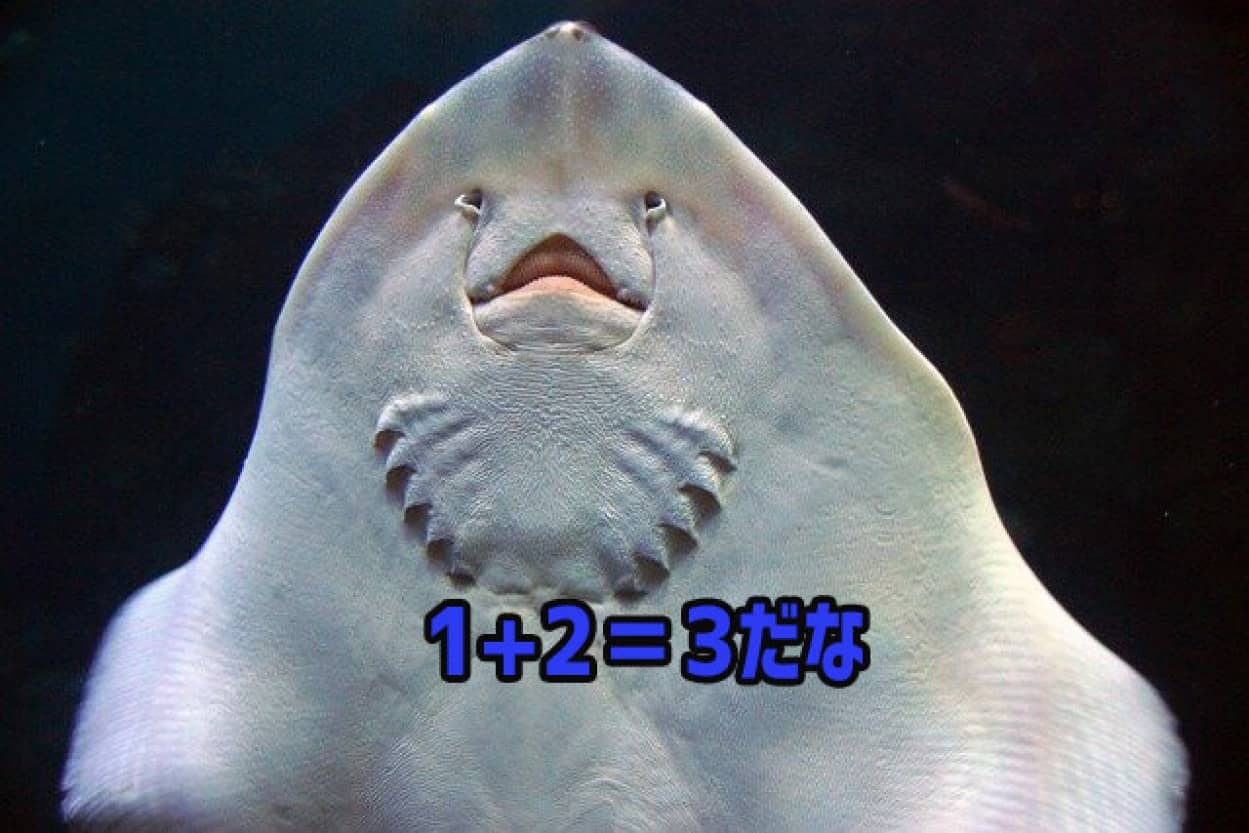 ジュエルフィッシュ（ルビーシクリッド）の種のプロフィール