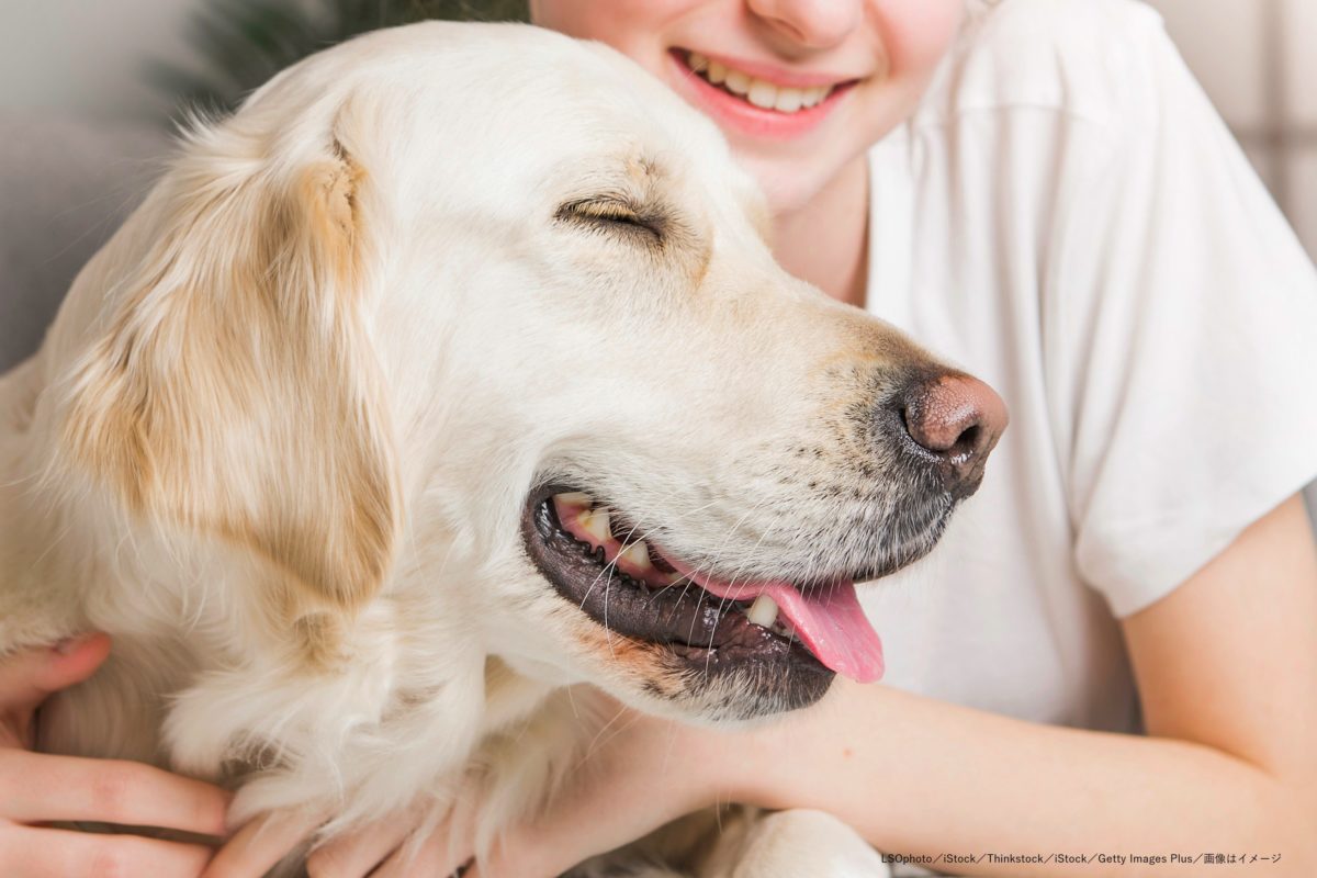 愛犬の遺灰を撒くと生前の姿そのままの煙が 愛あふれる奇跡の動画が話題 ニコニコニュース