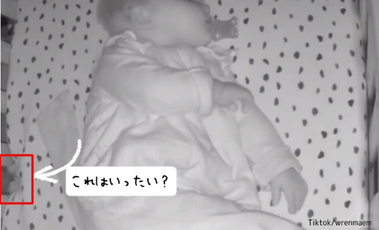 赤ちゃんが眠るベビーベッドに謎の動く物体が出現 ニコニコニュース