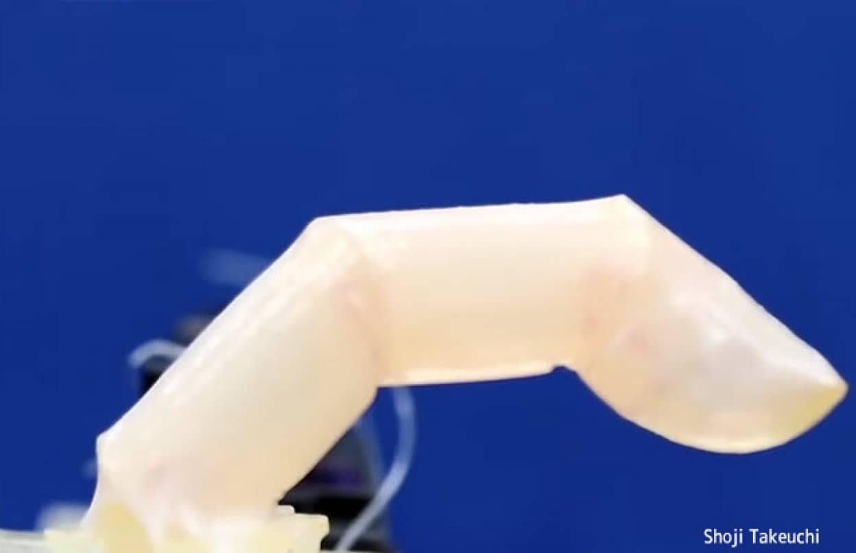 ロボットをより人間らしく見せる「生きた皮膚」を開発