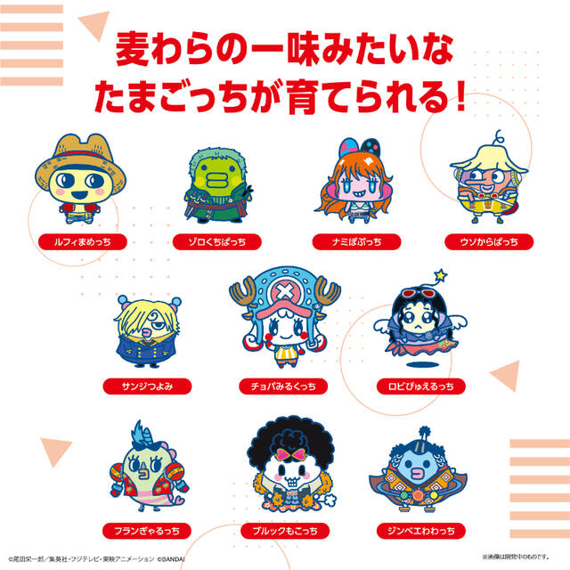 ONE PIECE』たまごっち登場！ルフィまめっち、ゾロくちぱっちを