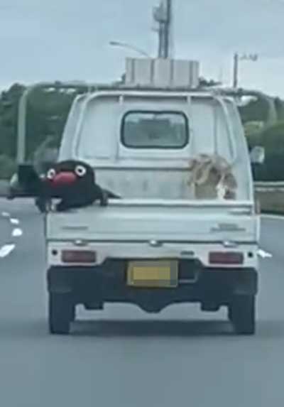 荷台でピングーが パタパタパタパタパタ 軽トラックから手を振るような姿に かわいい 癒やされた ニコニコニュース