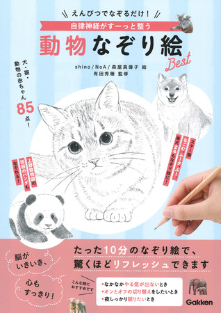 たった１０分で驚きの効果 スター猫 なごむ ムータ ぷー や 柴犬 まる も登場 えんぴつでなぞるだけ 自律 ニコニコニュース