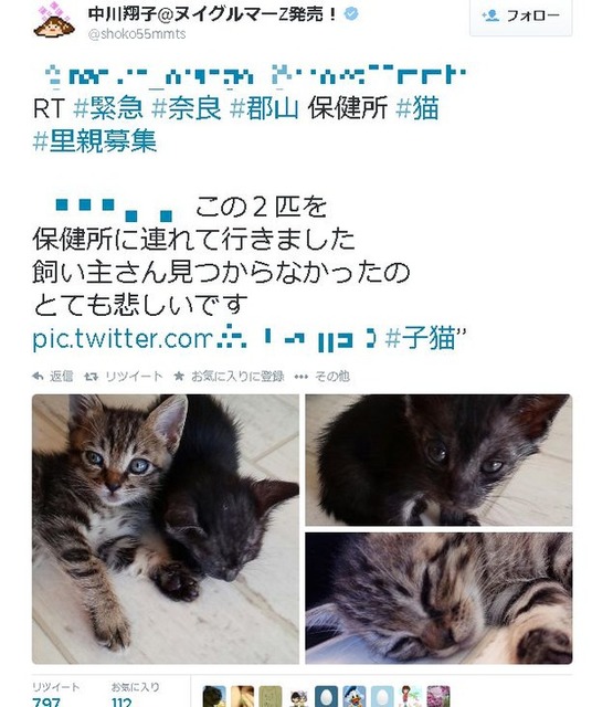中川翔子さん 保健所に連れて行くなっ と子猫を保健所に送った一般人に激怒し炎上 ニコニコニュース
