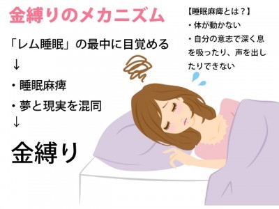 実は医学で解明されている しっかり睡眠 規則正しい生活で 脱 こわ い 金縛り ニコニコニュース