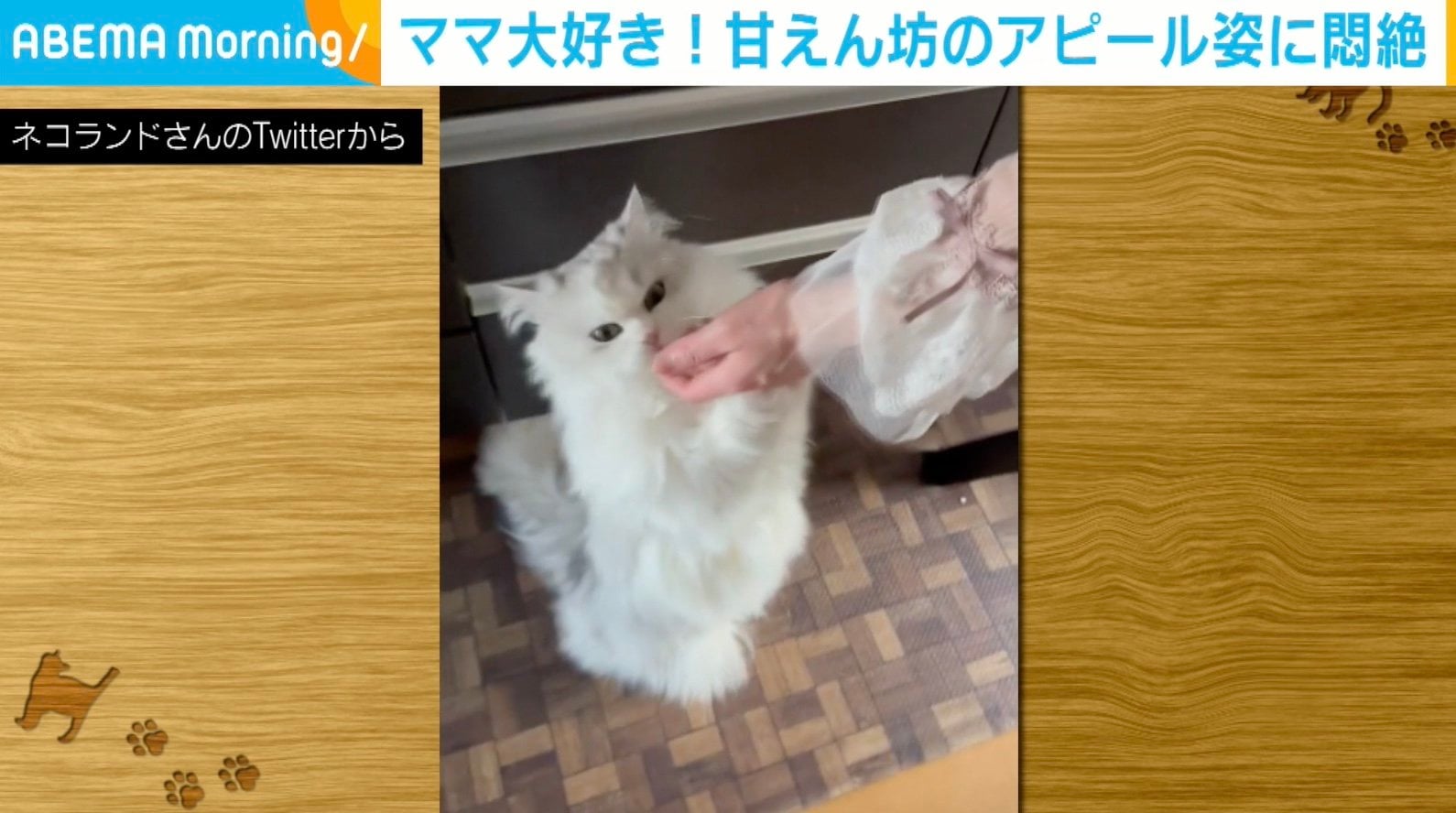 飼いならされた平和的な所有はどうやって証明できるのでしょうか?