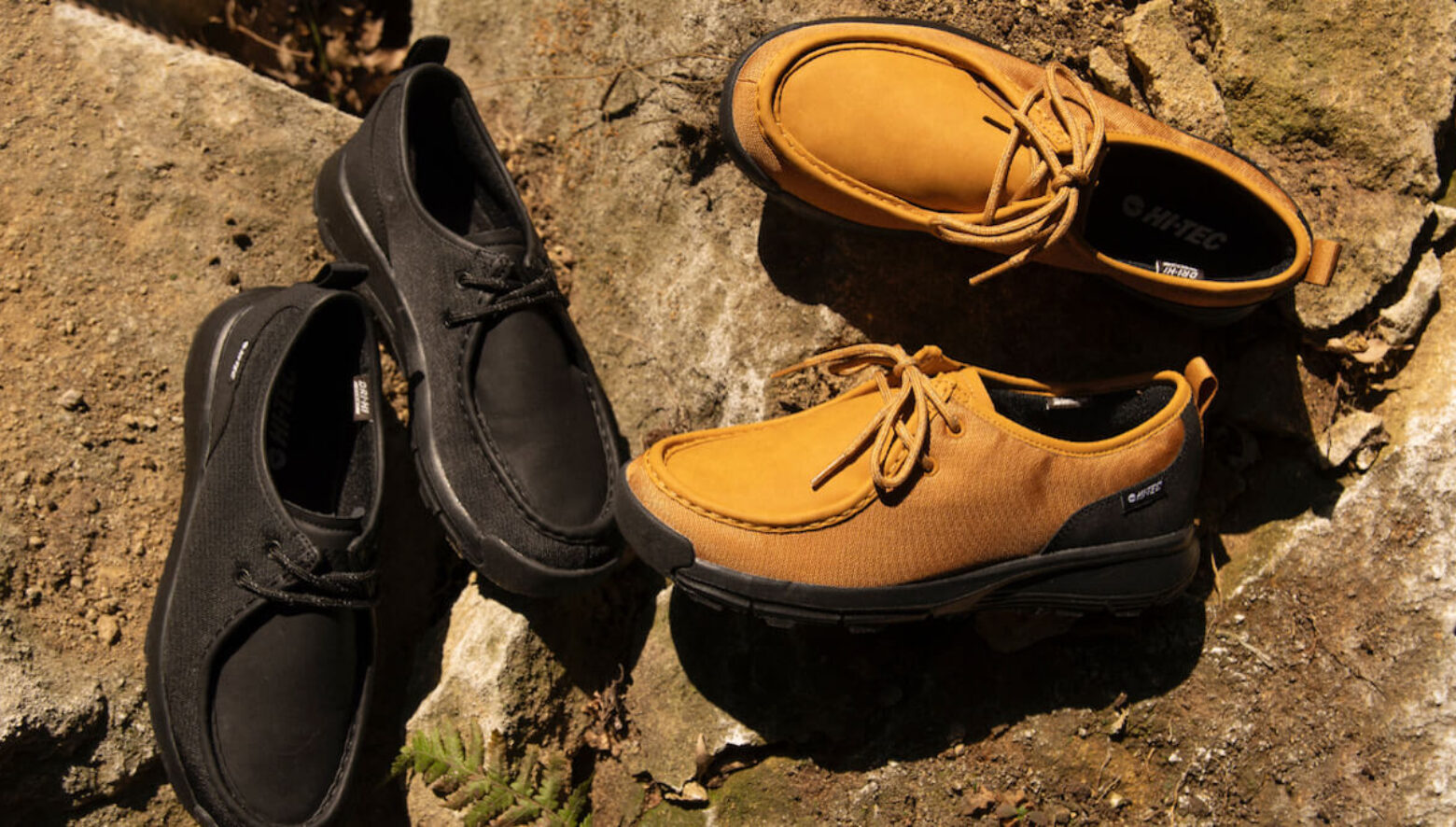 アルブミンはいつから効果を発揮し始めるのですか？