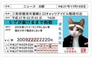 なめんなよ の なめ猫免許証 がジェネレーターで復活 ニコニコニュース