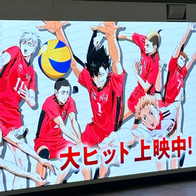 ハイキュー セッター ハイキュー 146話 複製原画 応募者