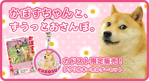 世界一有名な柴犬「Doge」の象徴 | ニコニコニュース