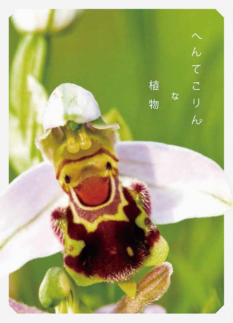 世界にはまだまだ知らないビックリ植物が へんてこりんな植物 8月発売 ニコニコニュース