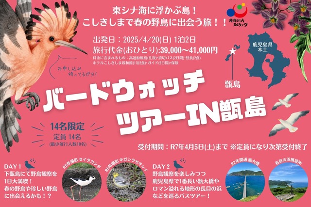 【4月20日(日)出発】バードウォッチツアーin甑󠄀島を開催します！ | ニコニコニュース