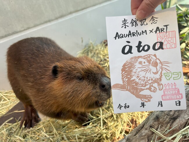 画像が削除されました