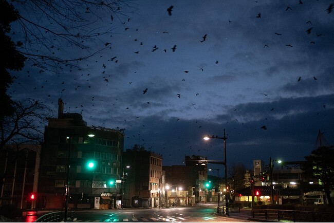 画像が削除されました