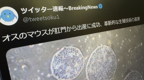 画像が削除されました
