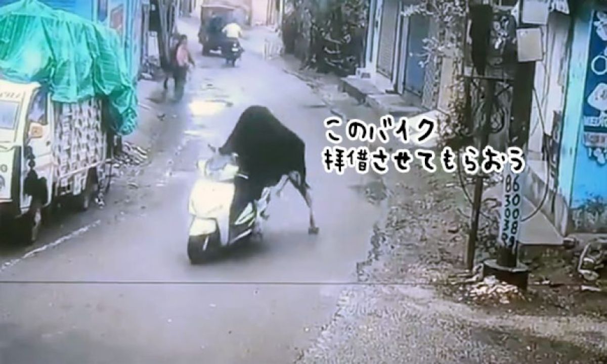 盗ん だ バイク で 走り出す