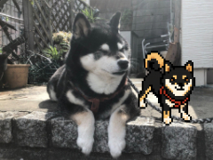 画像が削除されました