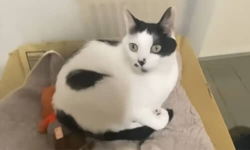 画像が削除されました