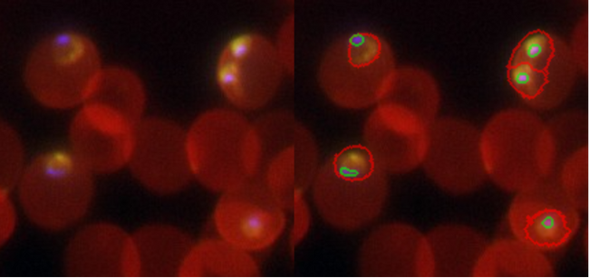 画像が削除されました