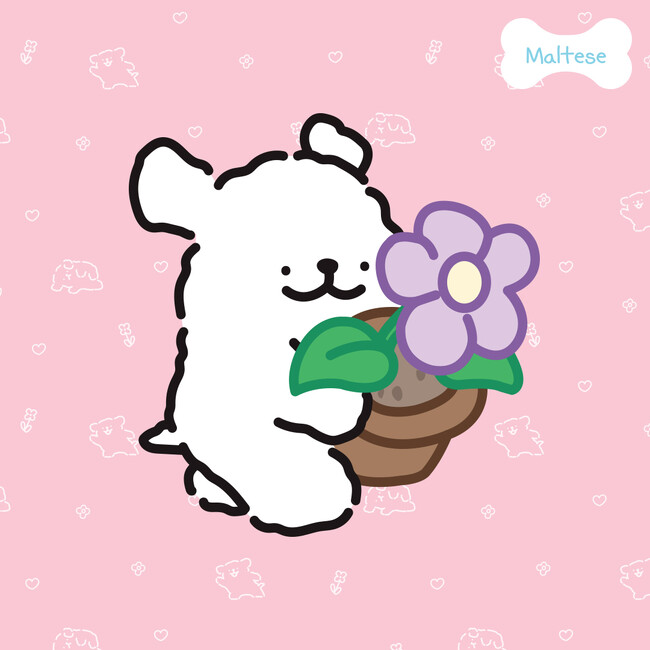M様❤マルチーズ プーコでカウボーイ❣️カップでわんこ M様