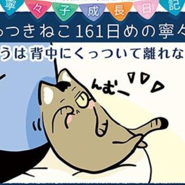 画像が削除されました