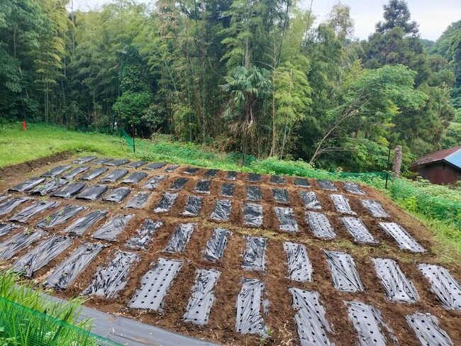 画像が削除されました