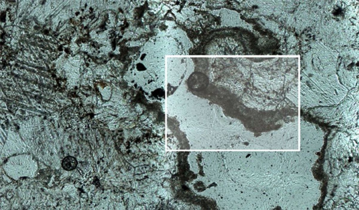 未知の古代生命体が岩を掘った痕跡を発見 砂漠で見つかった謎のトンネル | ニコニコニュース