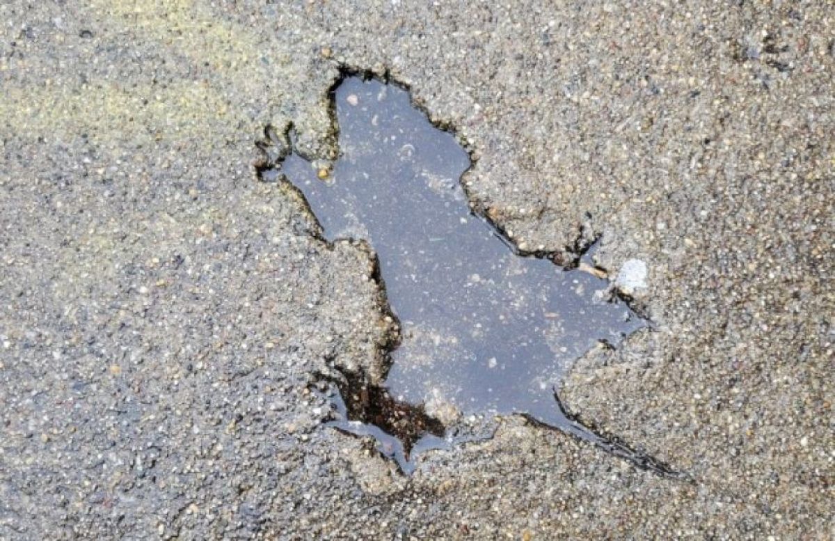 底に何か掘ってありますが不明 コンクリートに残された「ネズミの穴」の正体が、科学の力