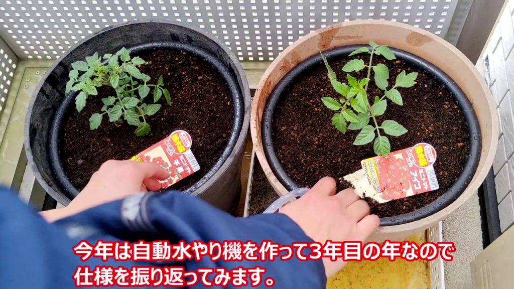自動水やり機