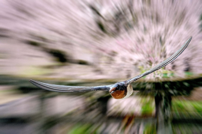 画像が削除されました