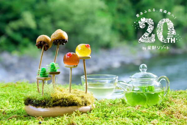 奥入瀬渓流で楽しむ「お苔見」体験