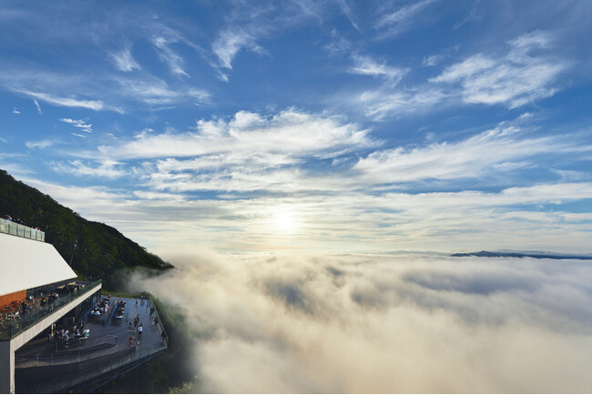 トマム雲海テラス、週末に仲間と観に行かない？
