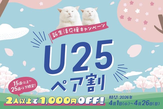 春の猫カフェで友達との新生活を楽しむ