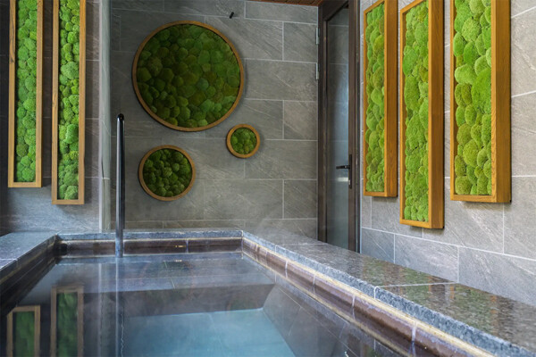 奥入瀬渓流ホテルで楽しむ「苔旅」を満喫しよう！