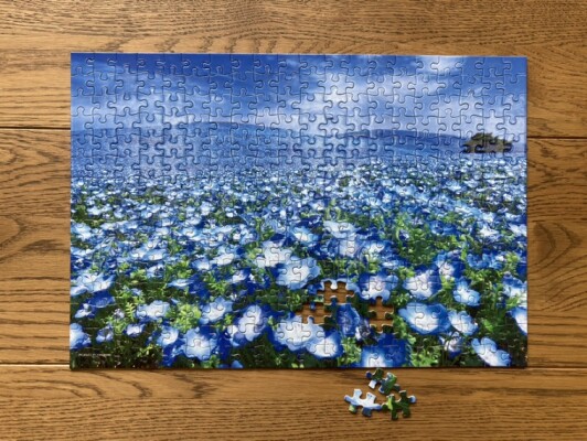 ネモフィラを組み立てるジグソーパズルで面接！？