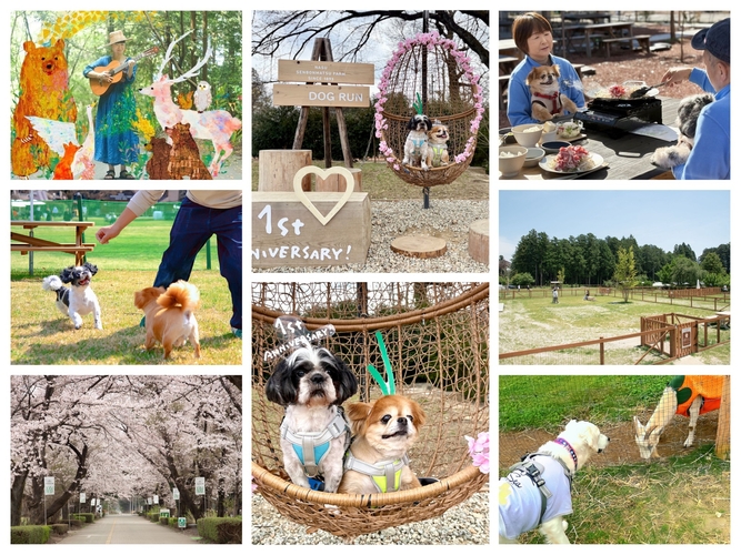 那須千本松牧場で愛犬との特別な思い出を