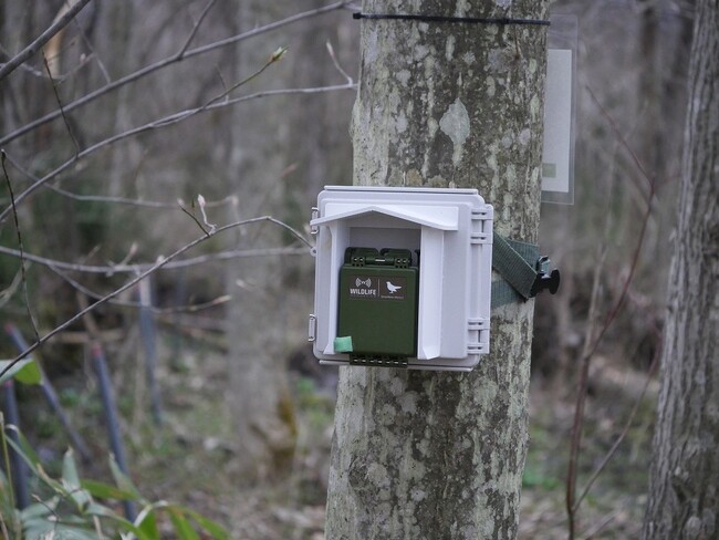 画像が削除されました