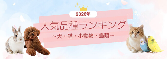 2026年度人気の小動物たち