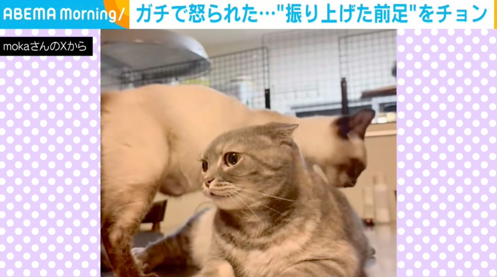 画像が削除されました