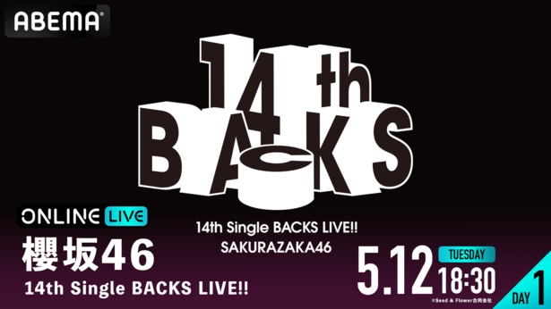 櫻坂46の新体制LIVE！感動を共有するプランを考えよう