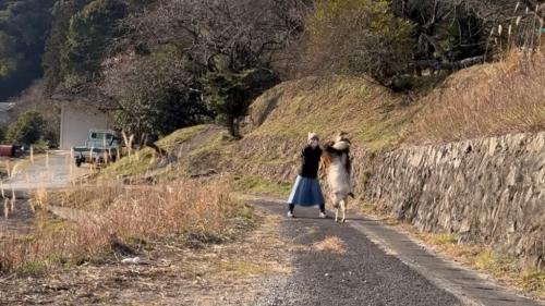 田舎暮らしの魅力を発信する『くまの里山日記』