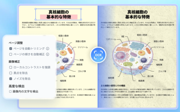 画像が削除されました