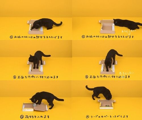 黒猫の箱組み立て おしい 集 クロネコヤマト大人気動画のngたっぷり ニコニコニュース