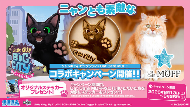 猫カフェとのコラボで楽しむ新しい体験