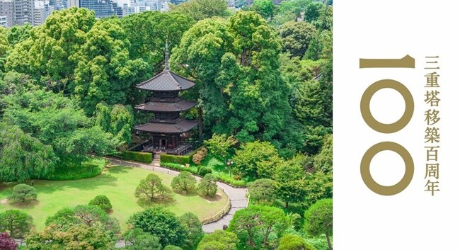 雲海を楽しむ限定グッズが登場！ホテル椿山荘の新演出