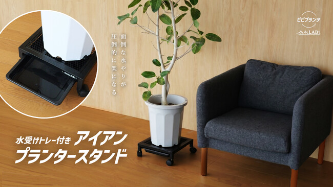 大きな観葉植物も楽々管理！新アイテムを活用しよう